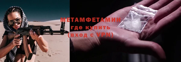 прущие грибы Нея