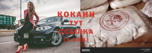 дживик Алексин